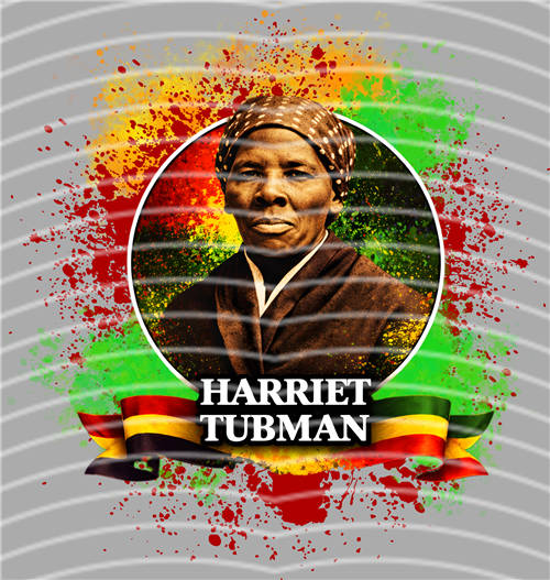 Black History in 1865-LY 265